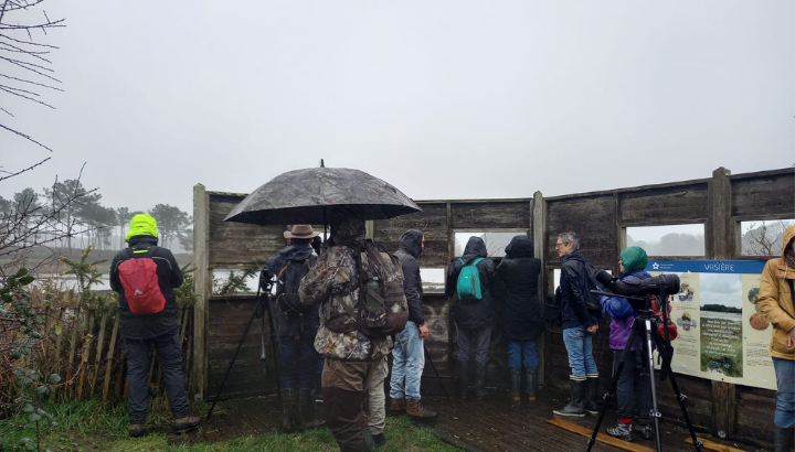 Initiation à la saisie de ses données sur NaturaList